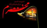 دانشجوی ممتاز مکتب امام حسین(علیه‌السلام)